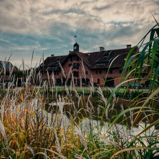 IMG_2609